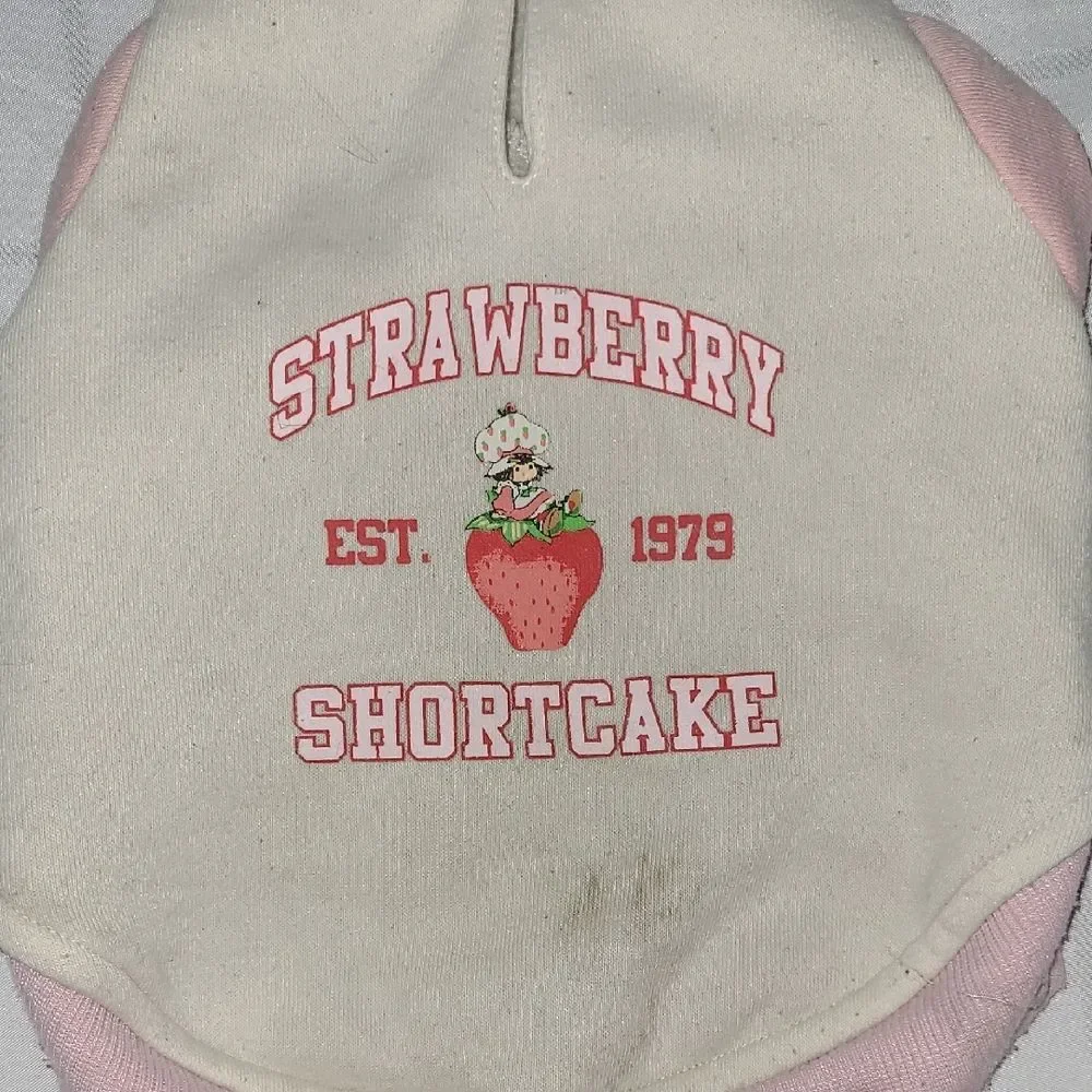 Strawberry Shortcake X-Small Dog Hoodie